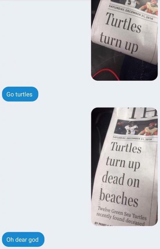 funny photos 1-8-18