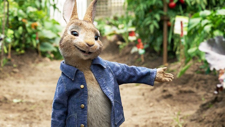Peter Rabbit