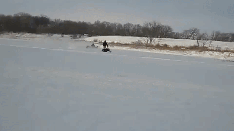 GIFs 4-12-18