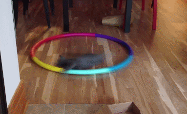 GIFs 4-18-18