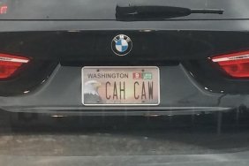 funny photos 5-23-18