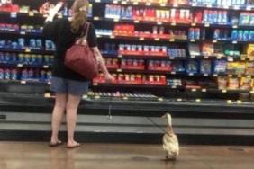 funny photos 5-2-18