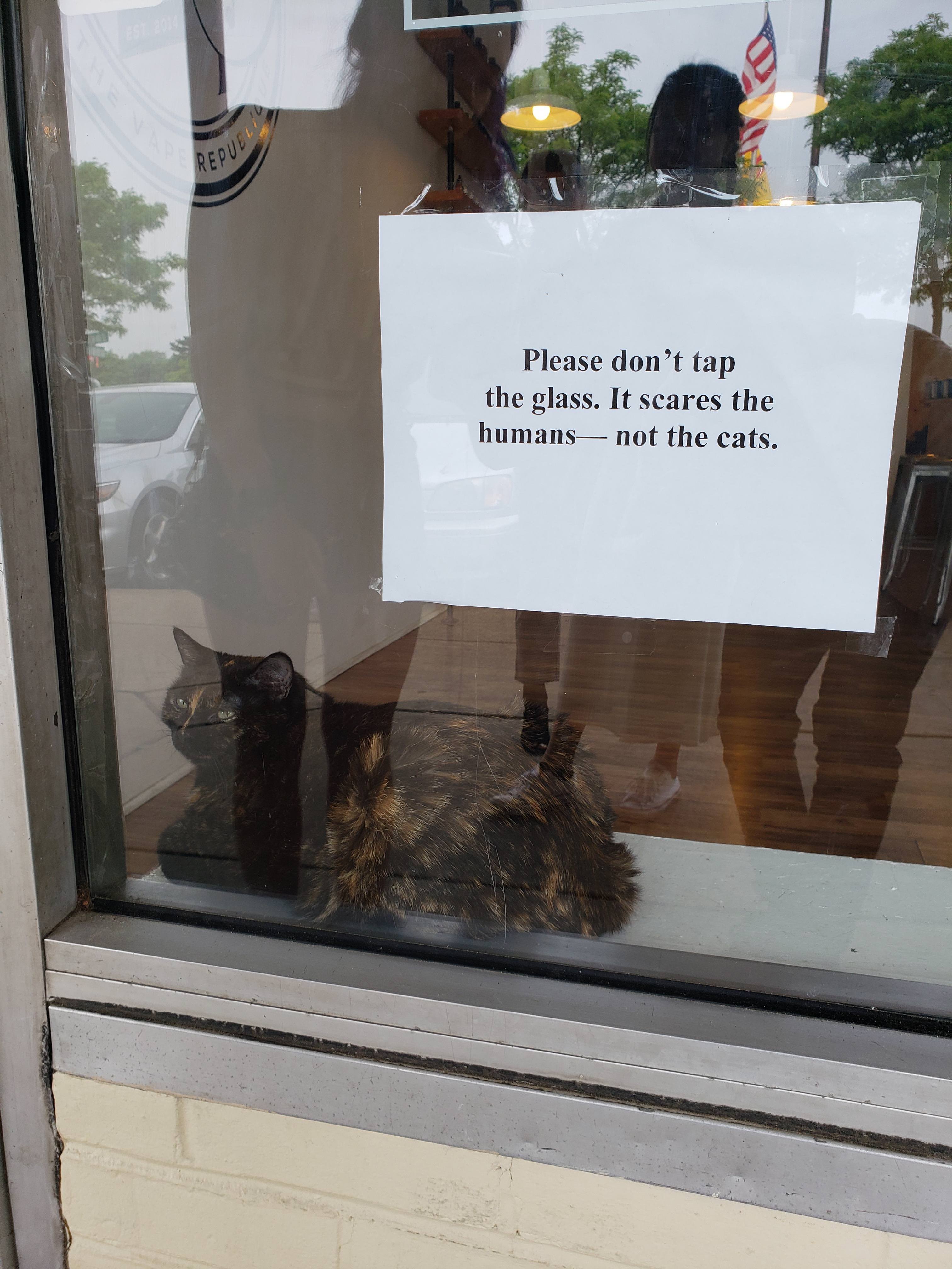 funny photos 5-30-18