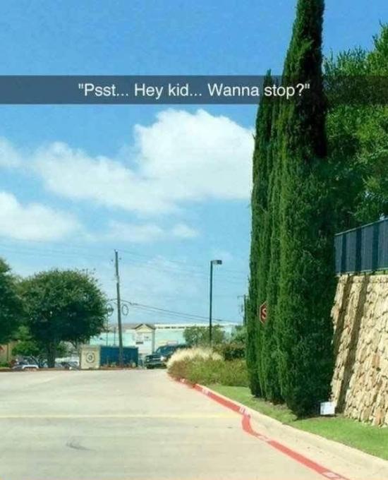 funny photos 5-9-18