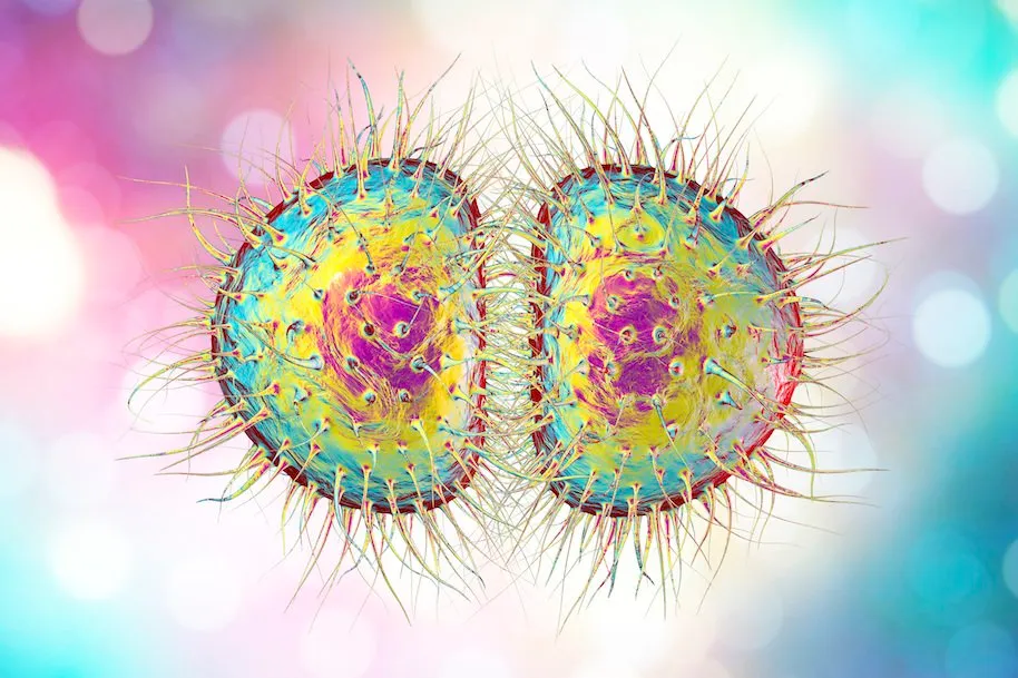 stds, alaska gonorrhea