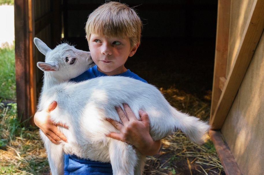 boys with animals