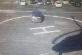 funny photos 6-28-18