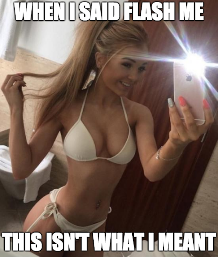 funny photos 6-7-18