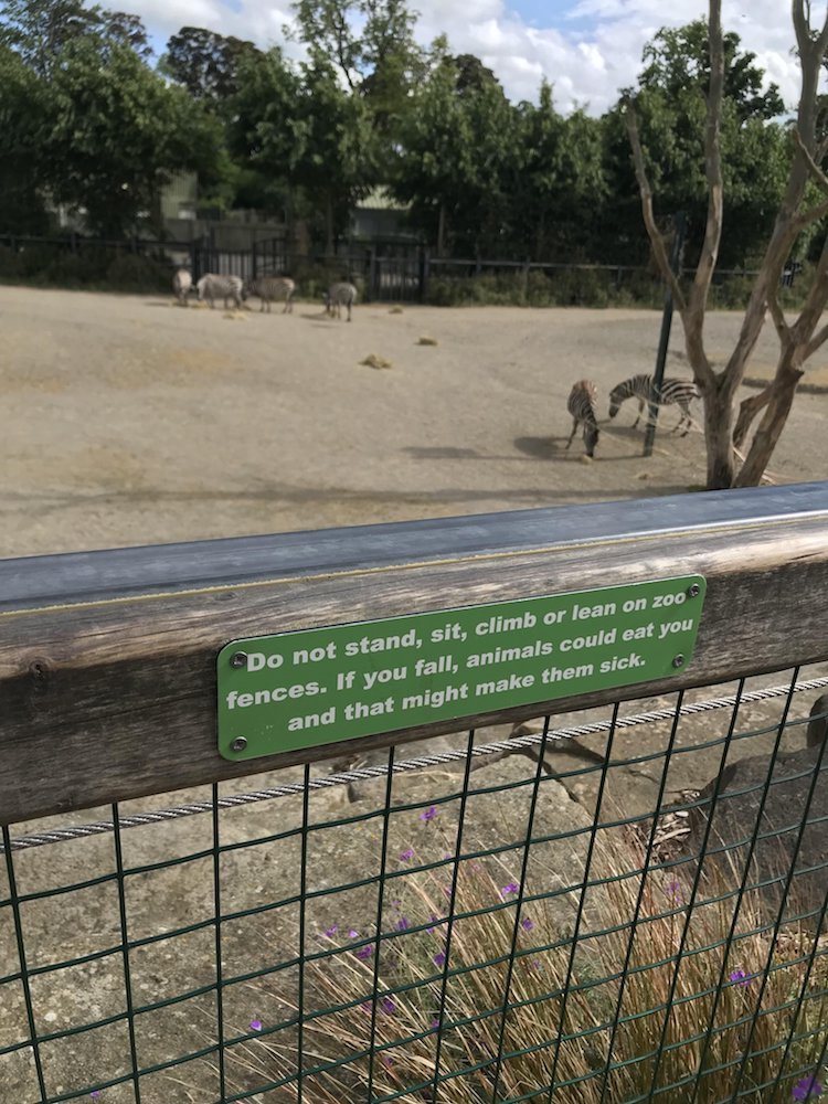 funny photos 6-20-18