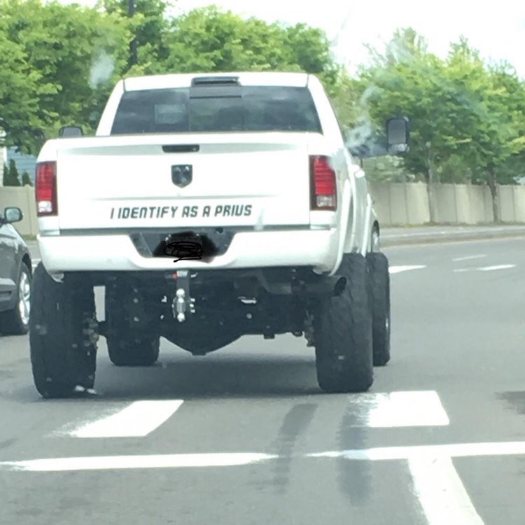 funny photos 6-6-18