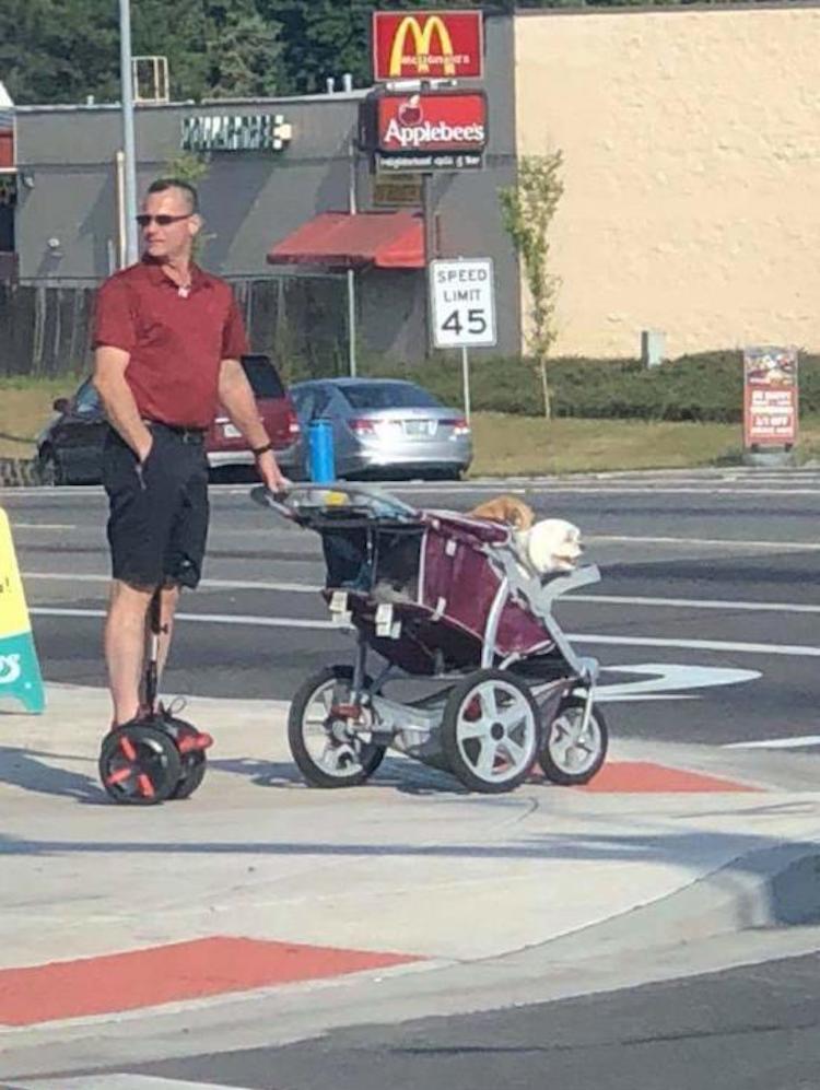 funny photos 6-12-18