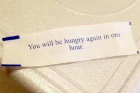 funny photos 7-24-18