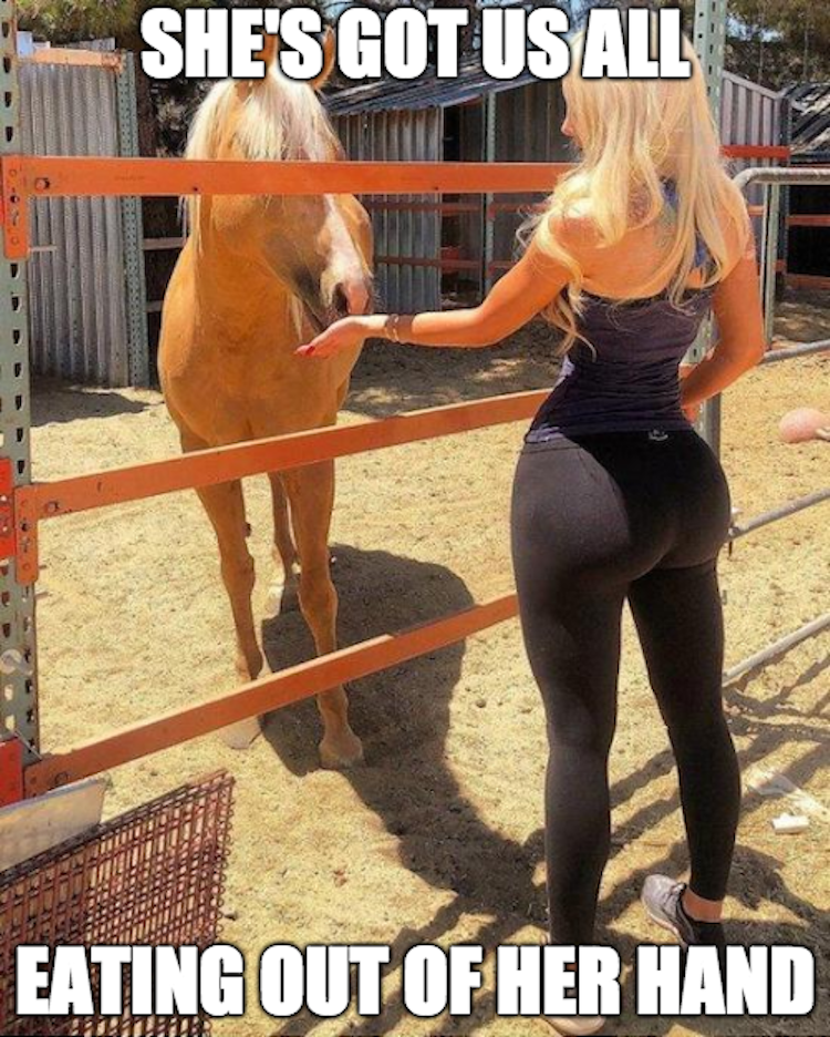 funny photos 7-20-18