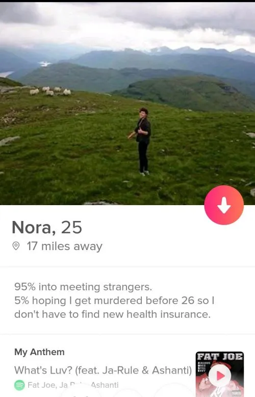 Funny Tinder bios found online