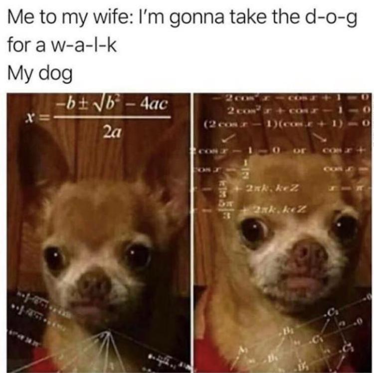 funny photos 8-10-18
