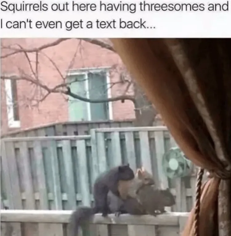funny photos 8-14-18
