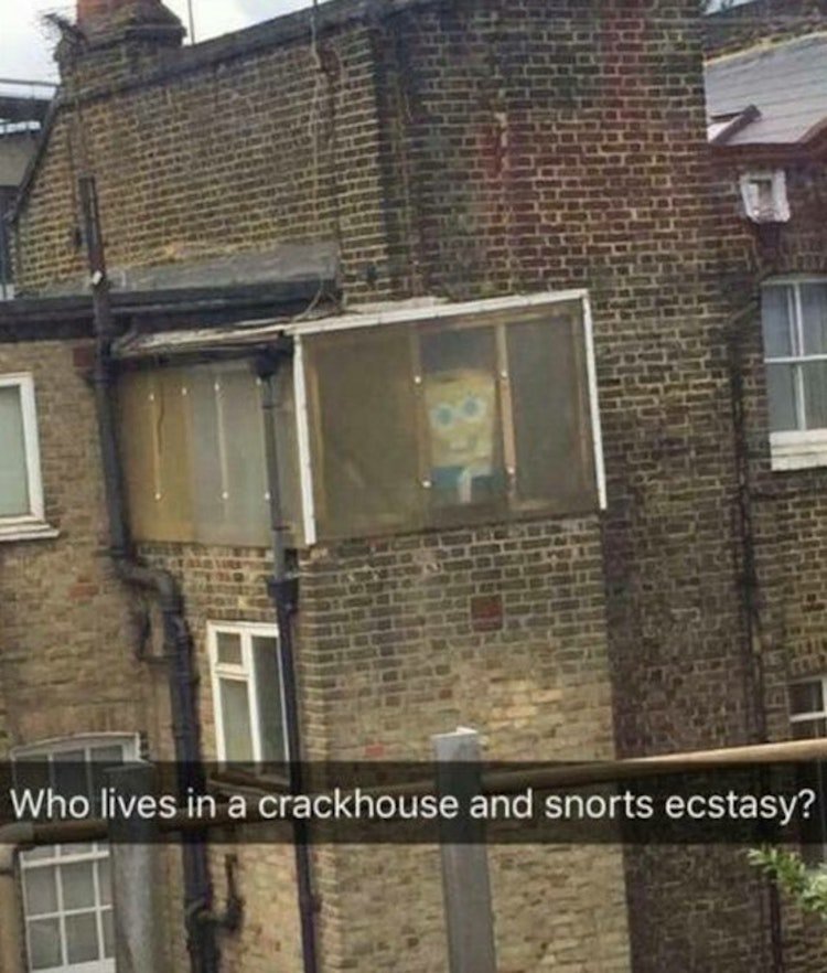 funny photos 8-10-18
