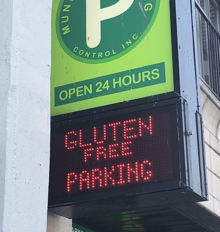 funny photos 8-17-18