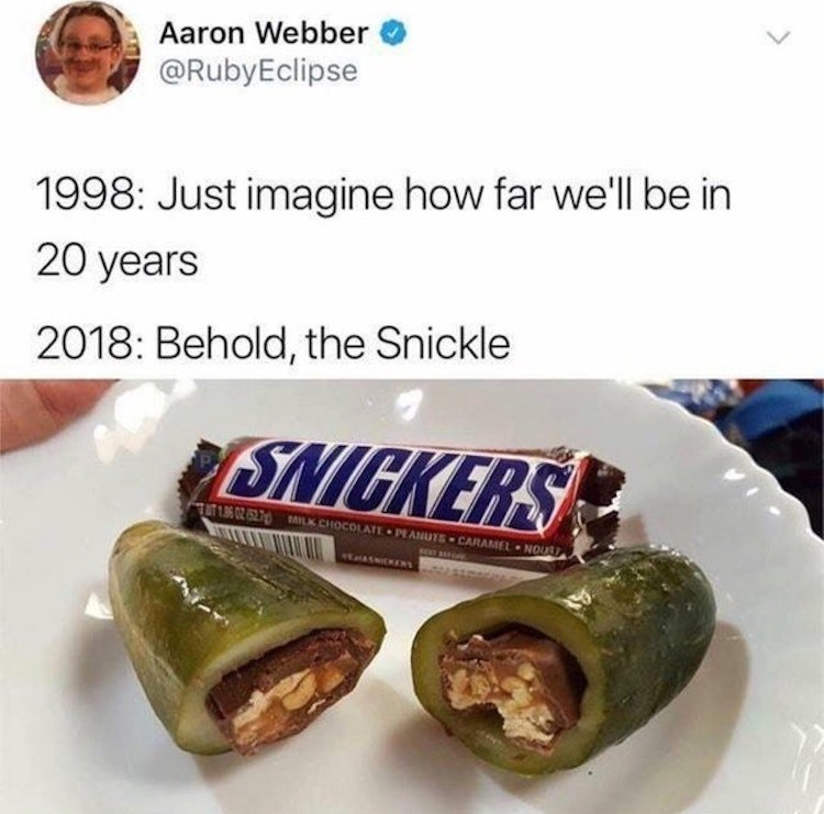 funny photos 8-13-18