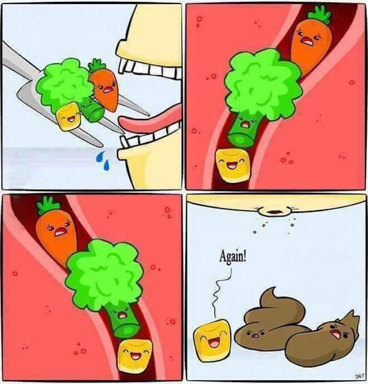 funny photos 8-28-18