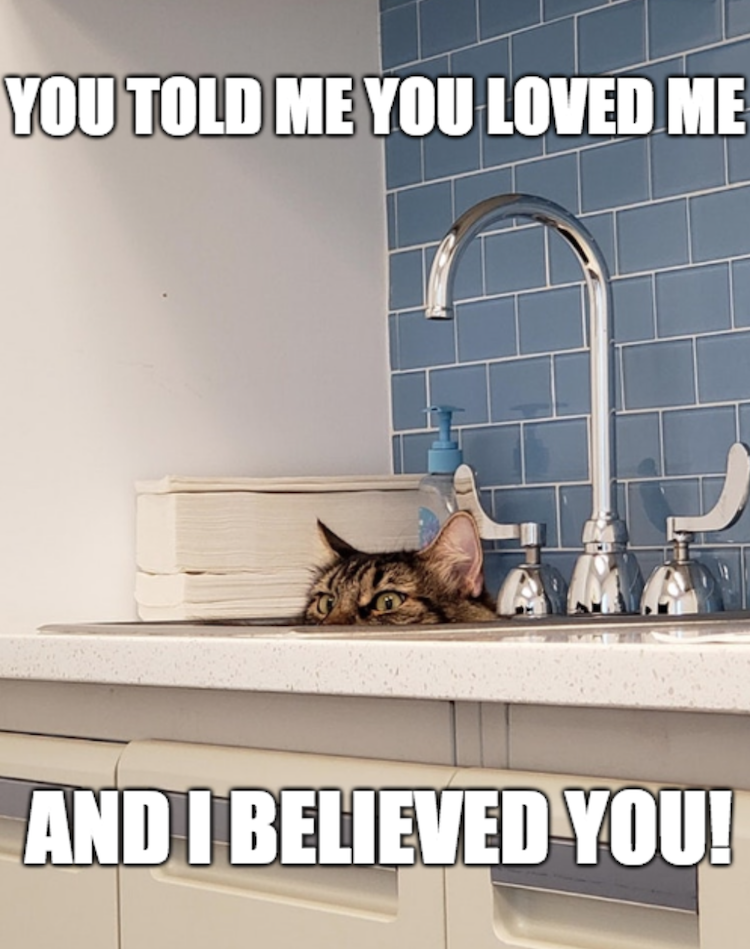 today's funny photos 8-8-18