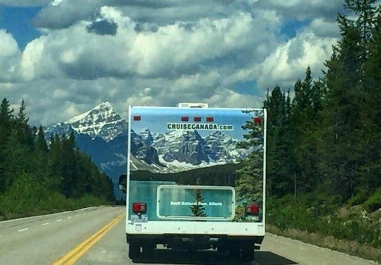 funny photos 8-23-18