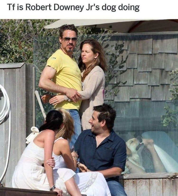 funny photos 8-10-18