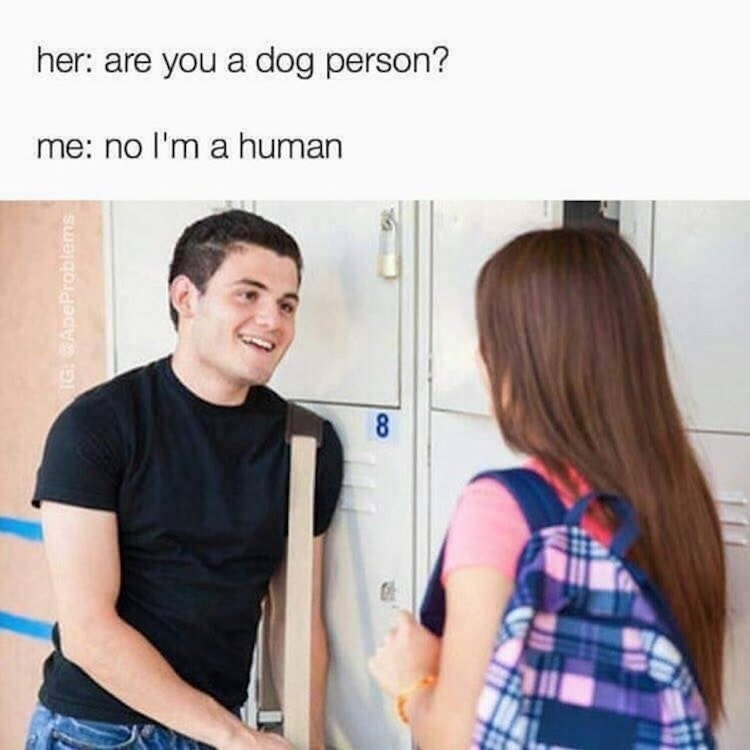 funny photos 8-24-18