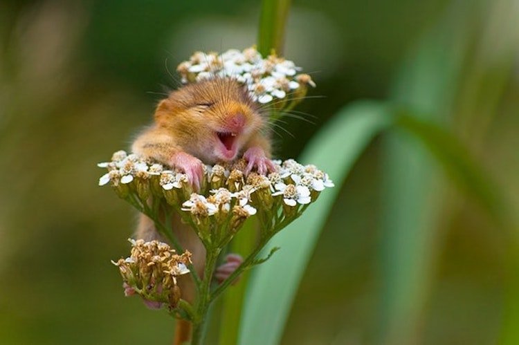funny photos 8-13-18