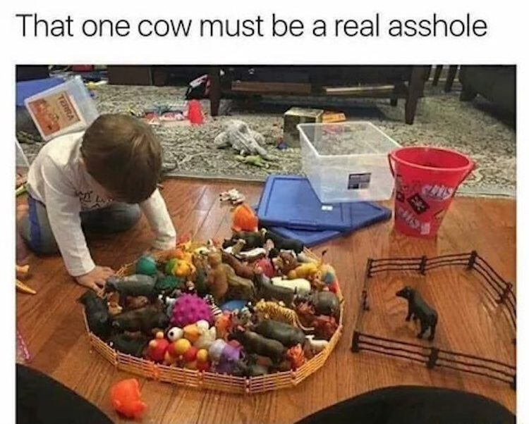 funny photos 8-28-18