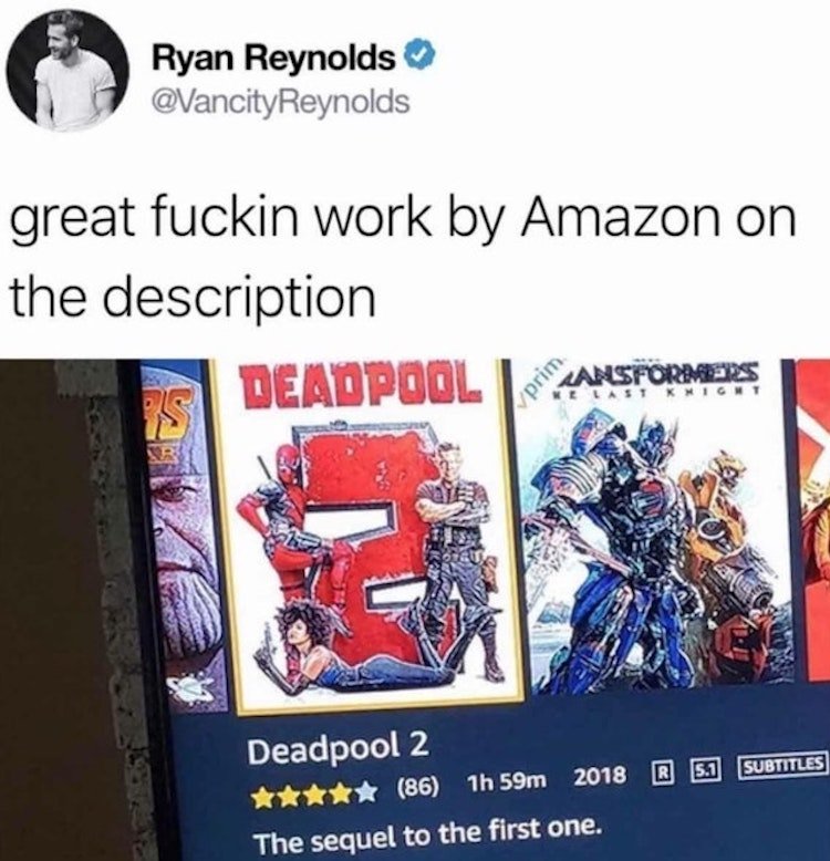 funny photos 8-17-18