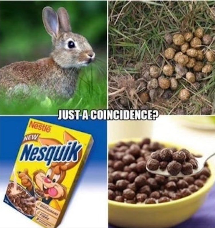 funny photos 9-10-18