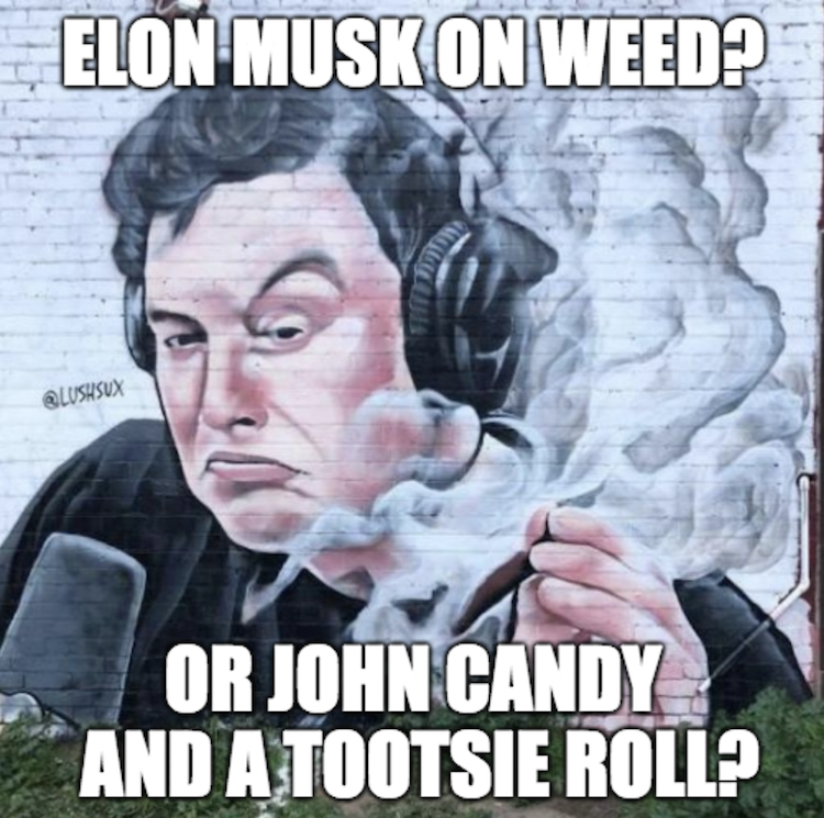 funny photos 9-14-18