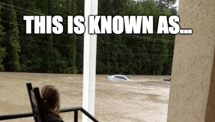 funny photos 9-19-18