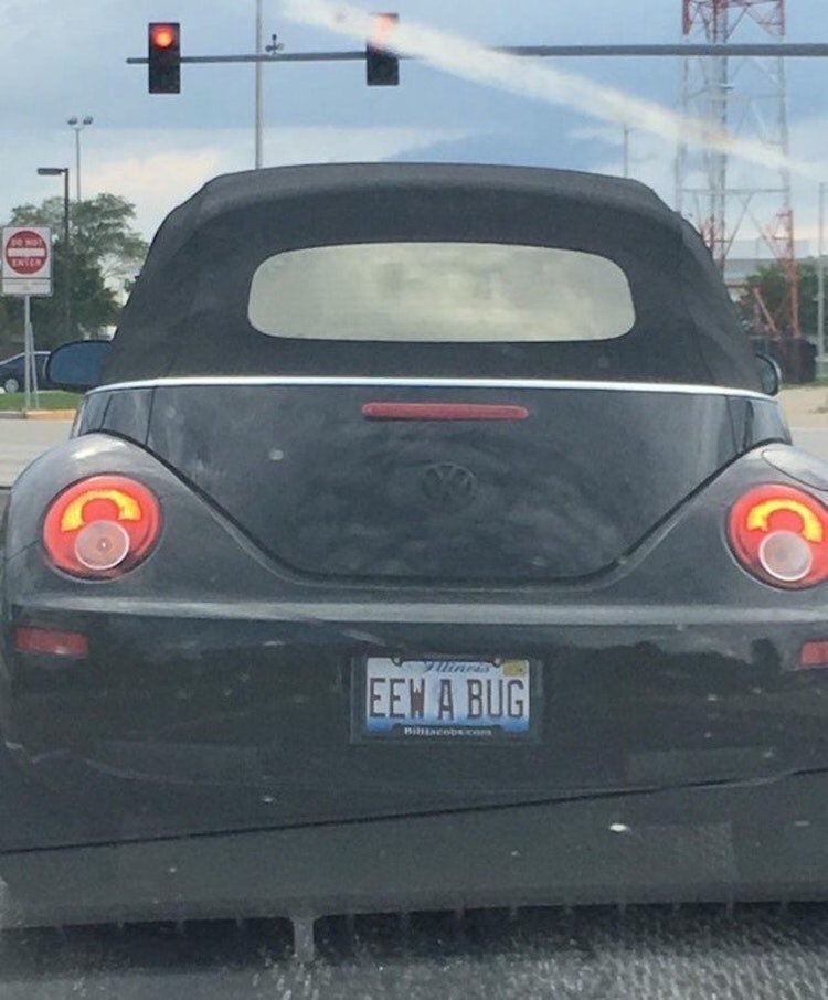 funny photos 9-7-18