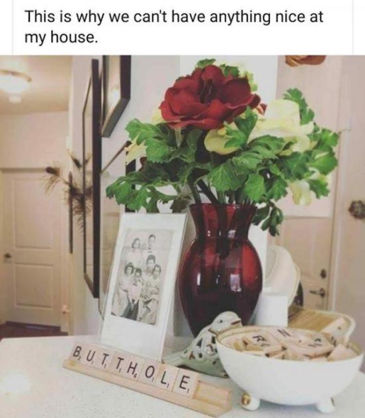 funny photos 9-14-18