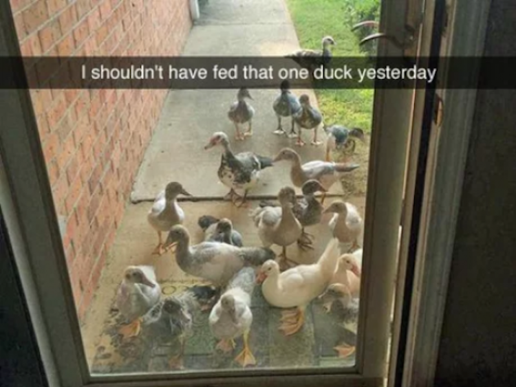 funny photos 10-31-2018