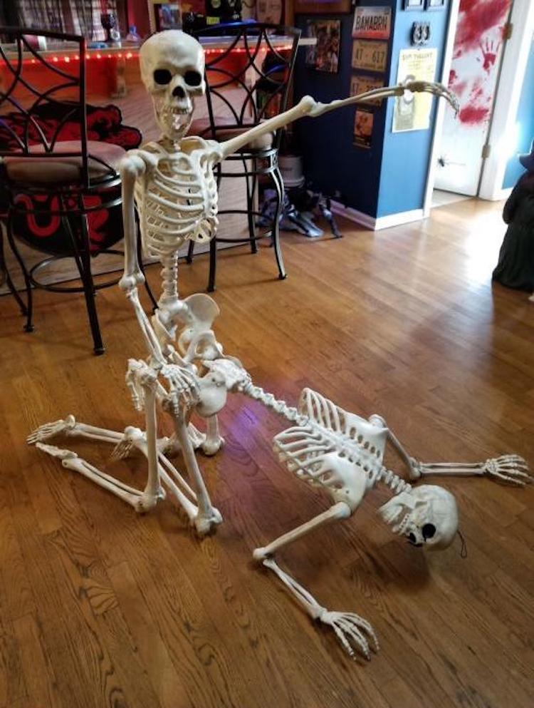 funny photos 10-30-2018