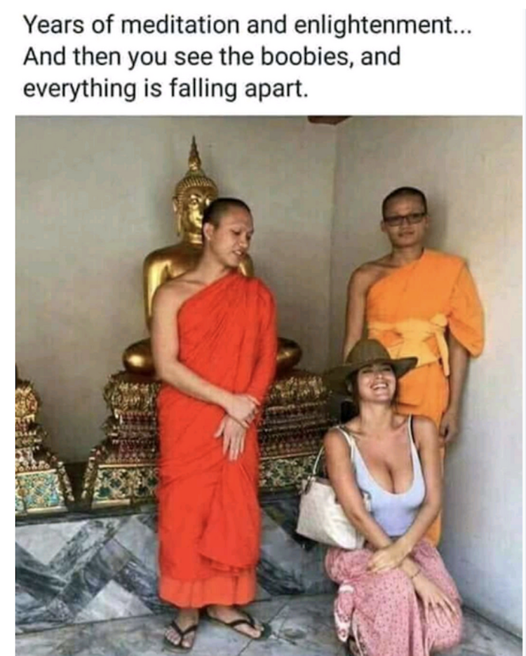 funny photos 10-2-18