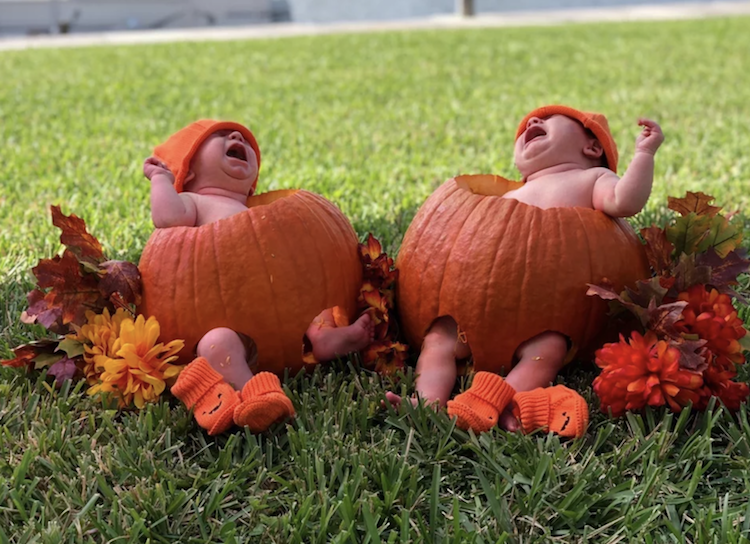 funny photos 10-17-18