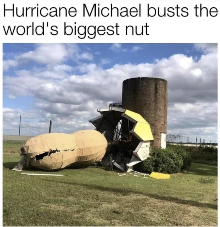 funny photos 10-25-18