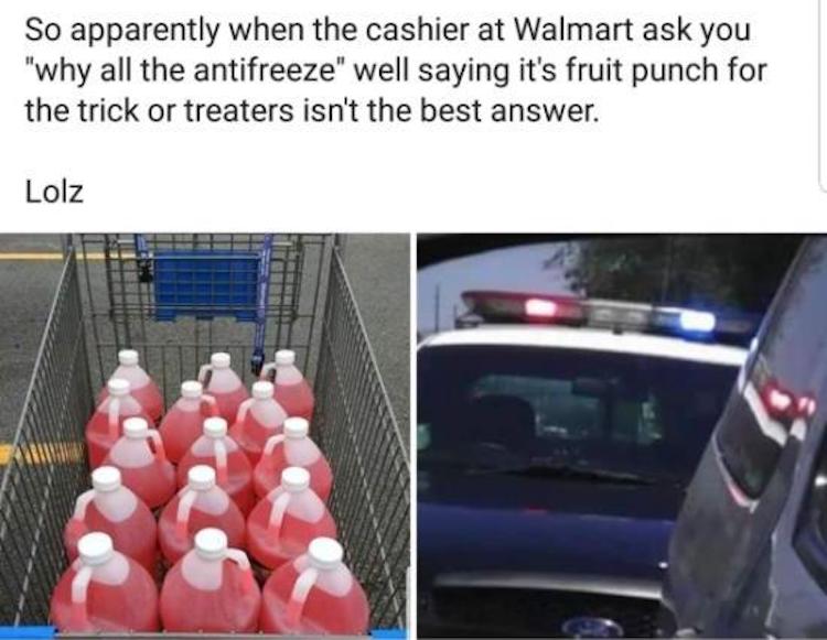 funny photos 10-18-18