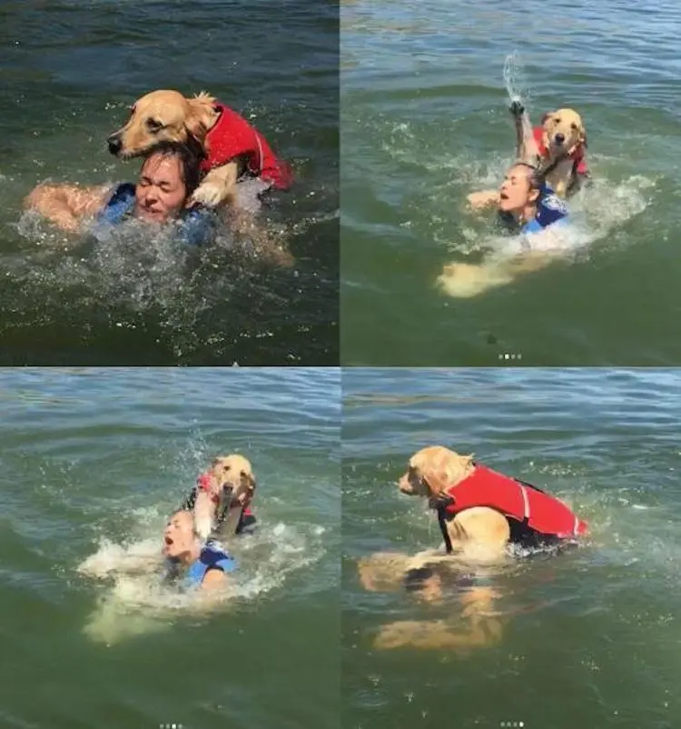 funny photos 10-15-18