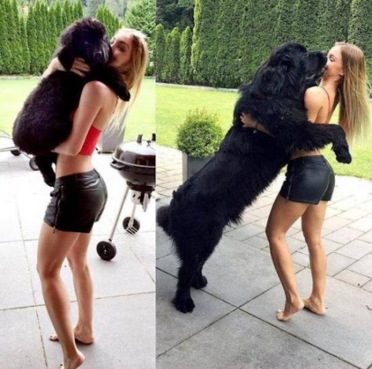 funny photos 10-31-2018