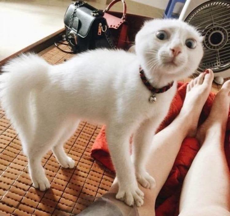 funny photos 10-17-18