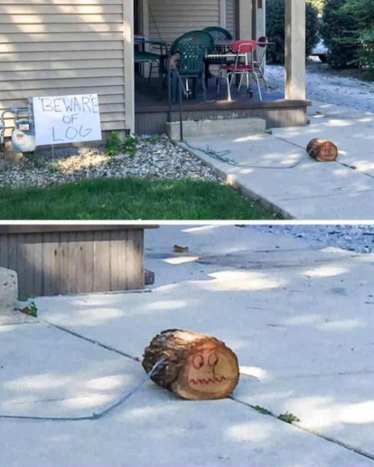 funny photos 10-8-18
