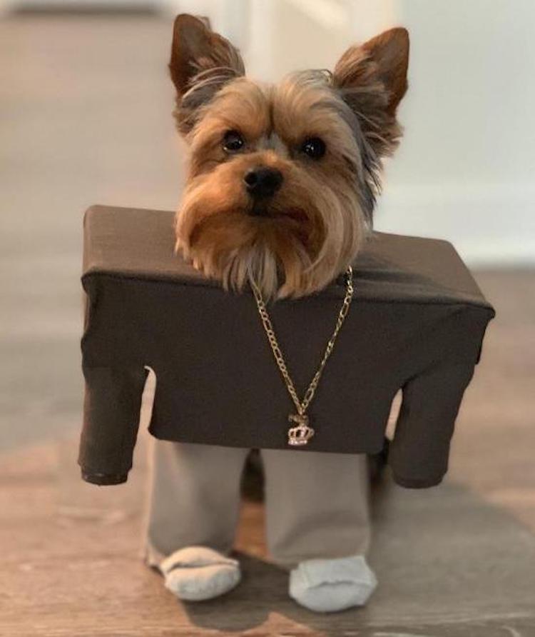 funny photos 10-15-18