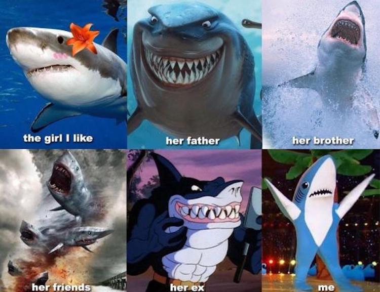 funny photos 10-30-2018