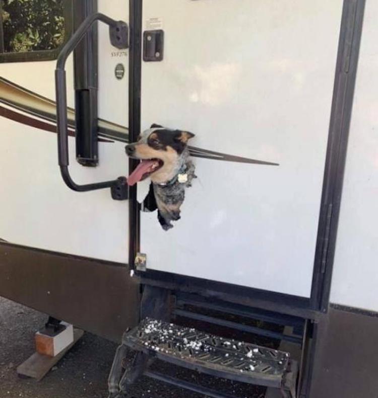 funny photos 10-10-18