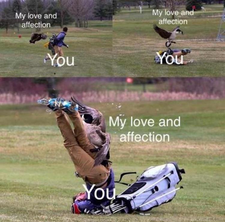 funny photos 10-19-18